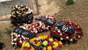 13432420_10208493653931481_1927391721478987130_n